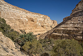 Bernhard Saalfeld - En Avdat (9v9)